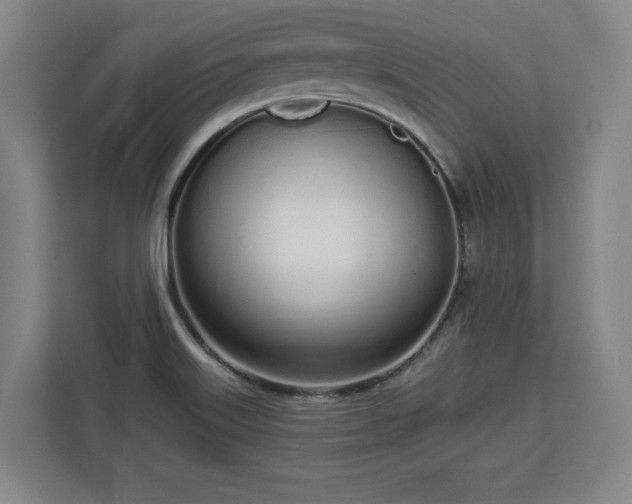 X0000112721515200908271356