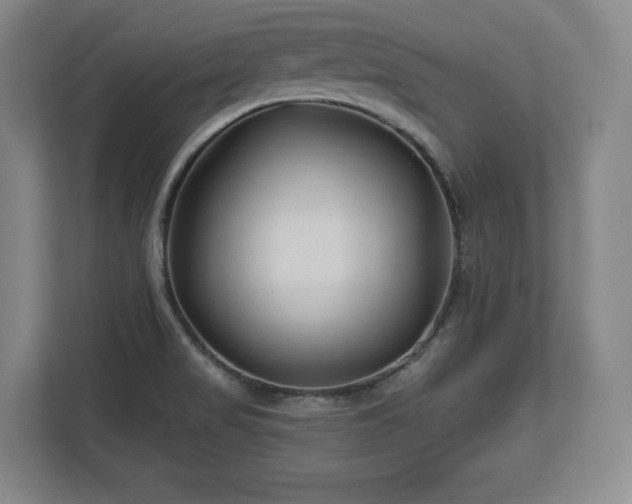 X0000112721517200908271356