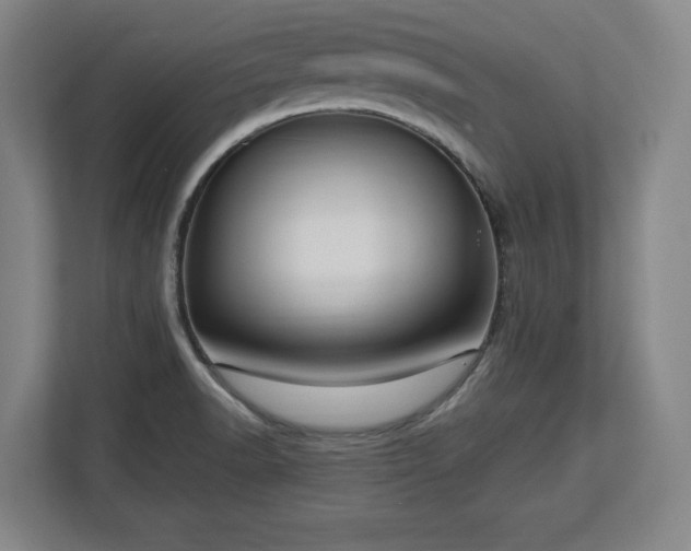 X0000112721518200908271356