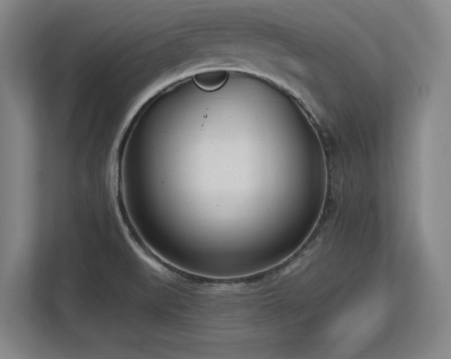 X0000112721519200908271356