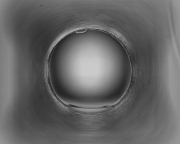 X0000112721520200908271356