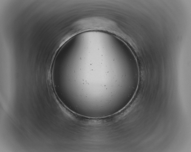 X0000112721521200908271356