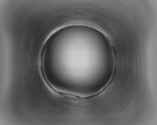 X0000112721523200908271356