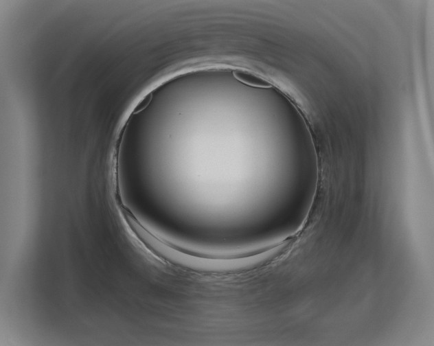 X0000112721524200908271356