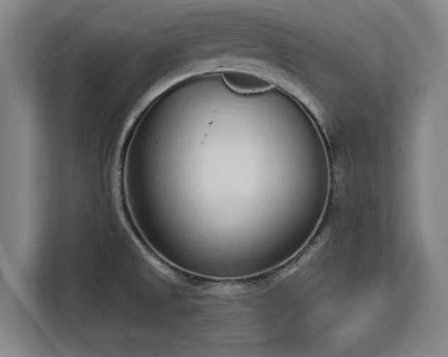 X0000112721525200908271356