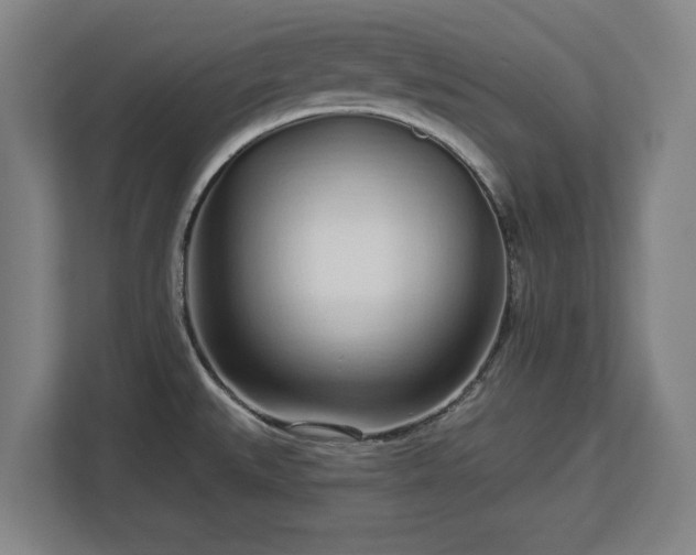 X0000112721527200908271356