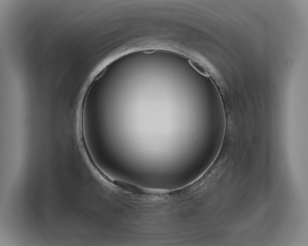 X0000112721528200908271356