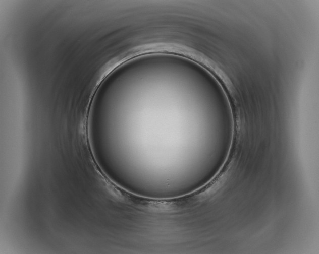 X0000112721529200908271356