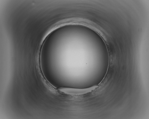 X0000112721530200908271356