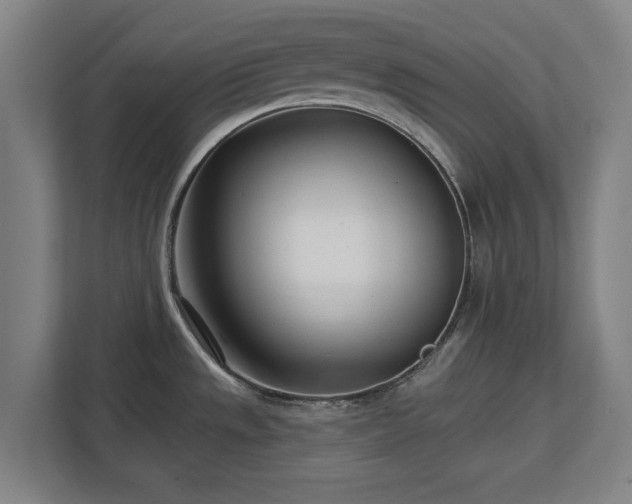 X0000112721533200908271356