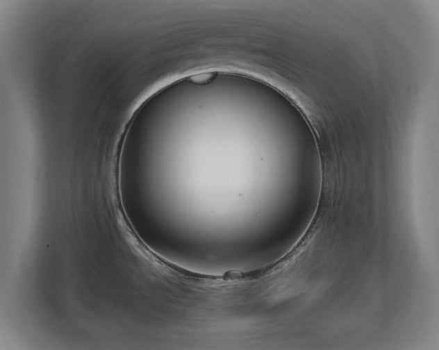 X0000112721534200908271356