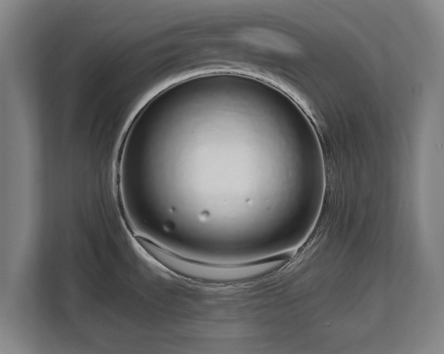 X0000112721535200908271356