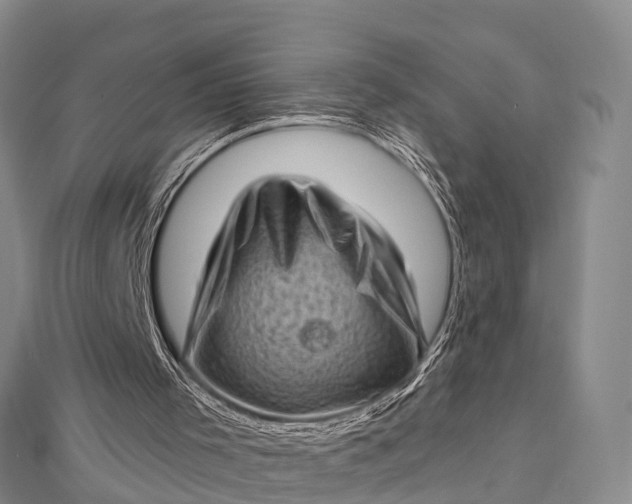 X0000112720001200909031426