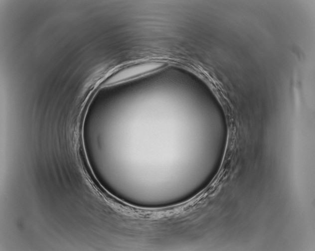 X0000112720002200909031426