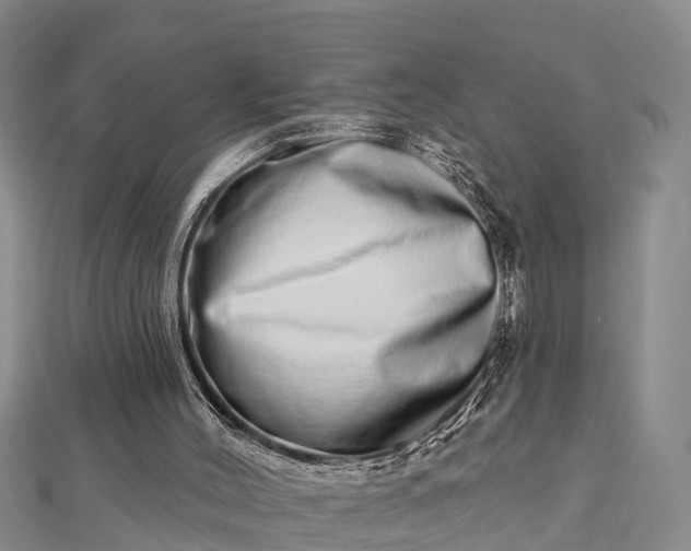 X0000112720004200909031426