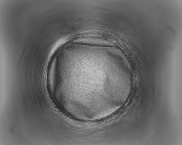 X0000112720006200909031426