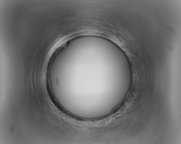 X0000112720007200909031426