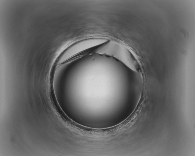 X0000112720008200909031426