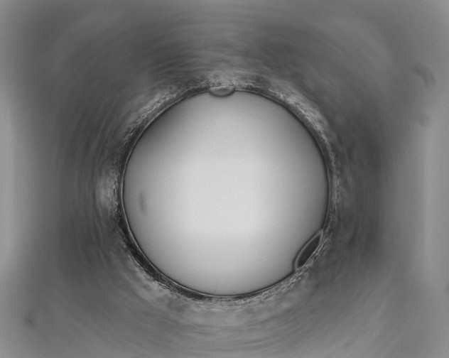 X0000112720009200909031426