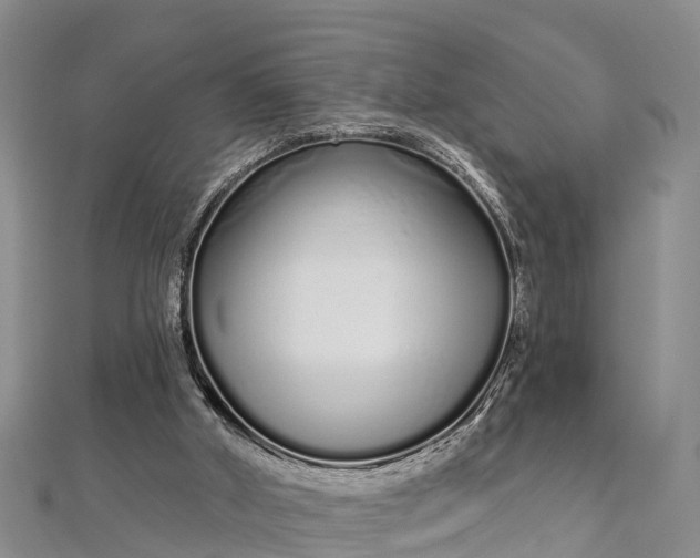 X0000112720010200909031426