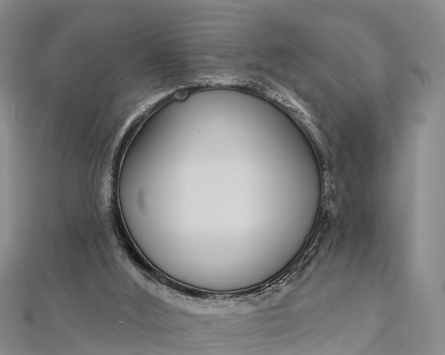 X0000112720012200909031426