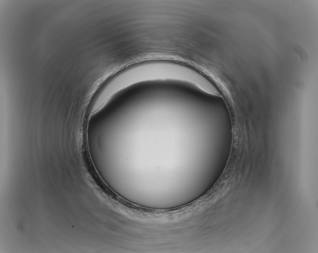 X0000112720015200909031426