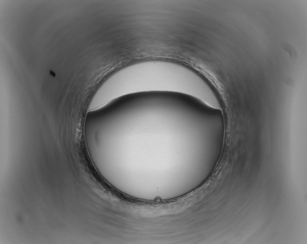 X0000112720017200909031426