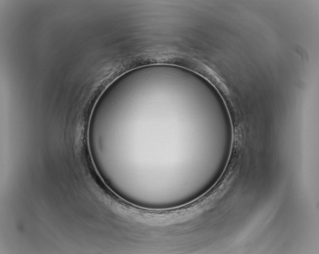 X0000112720018200909031426