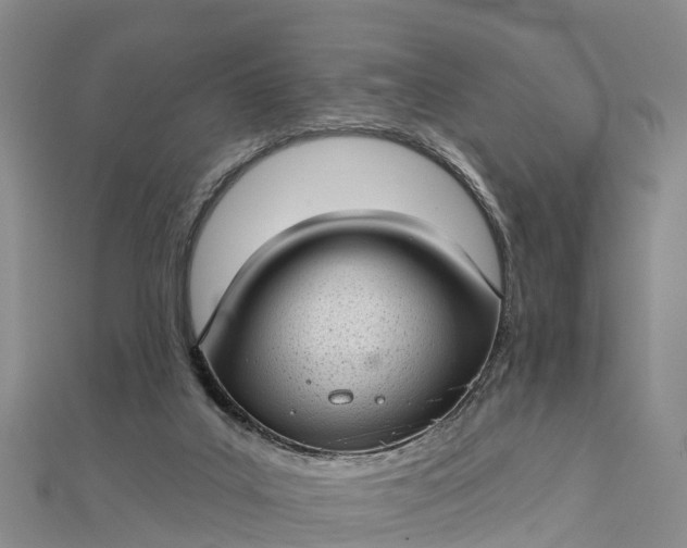 X0000112720019200909031426