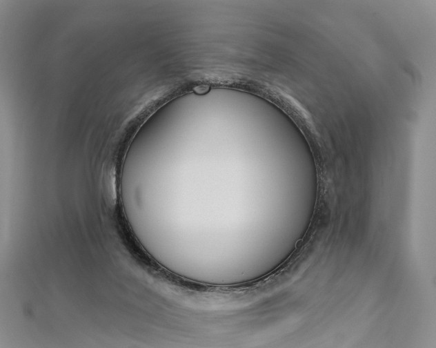 X0000112720020200909031426