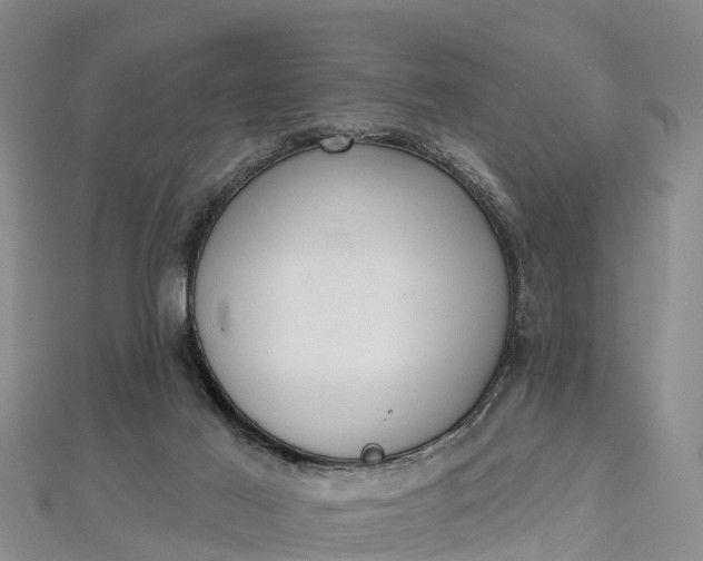 X0000112720021200909031426