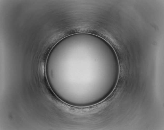 X0000112720022200909031426