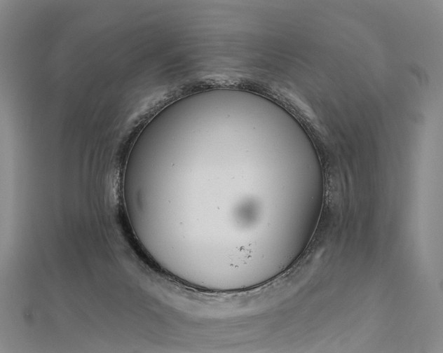 X0000112720023200909031426