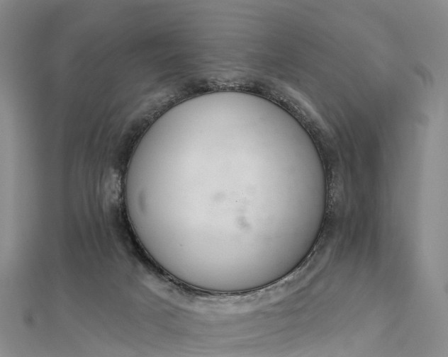 X0000112720025200909031426