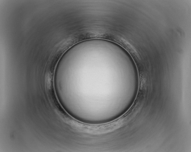 X0000112720026200909031426