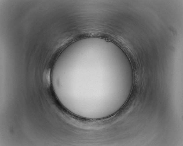 X0000112720028200909031426