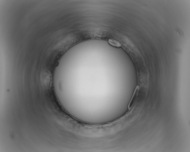 X0000112720029200909031426