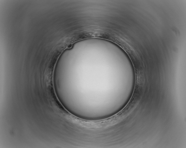 X0000112720030200909031426