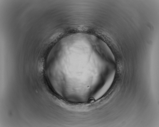 X0000112720032200909031426