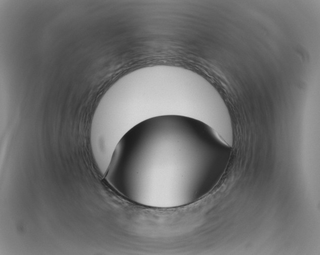 X0000112720033200909031426