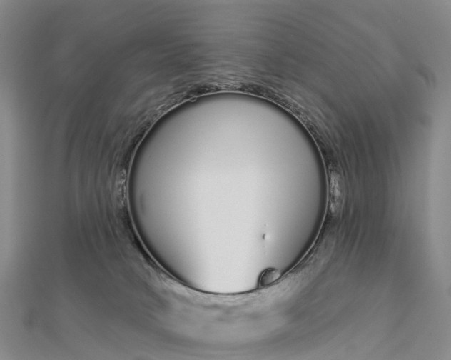 X0000112720034200909031426