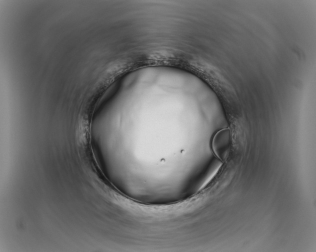 X0000112720038200909031426