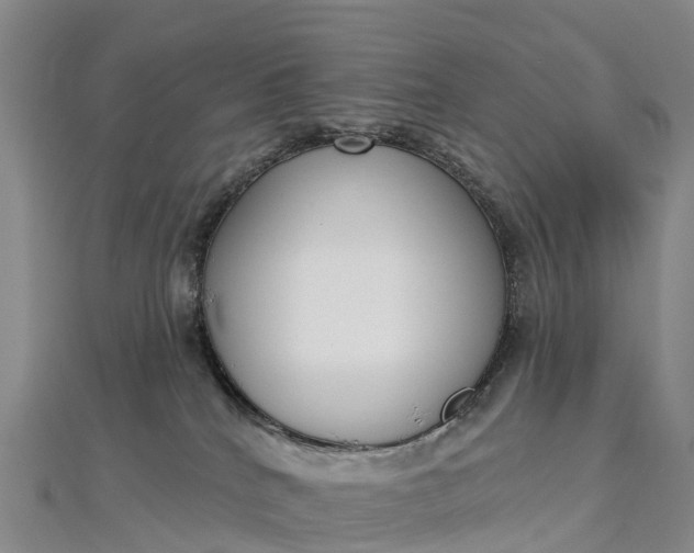 X0000112720040200909031426