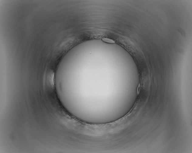 X0000112720041200909031426