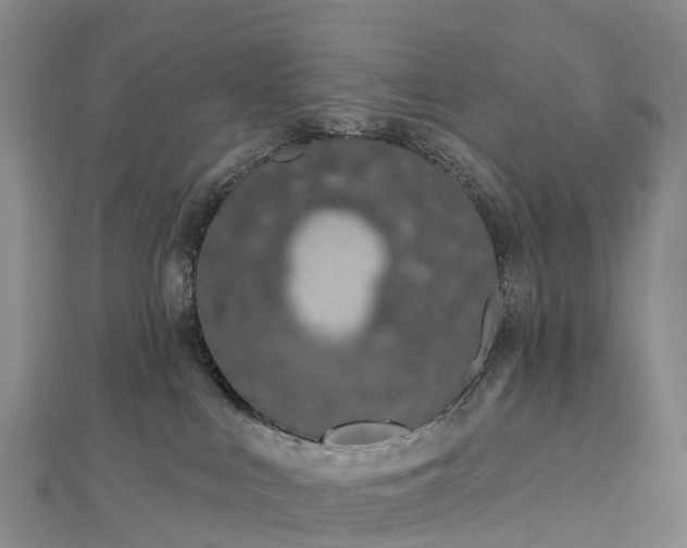 X0000112720043200909031426