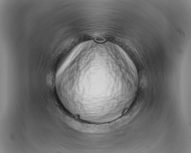 X0000112720044200909031426