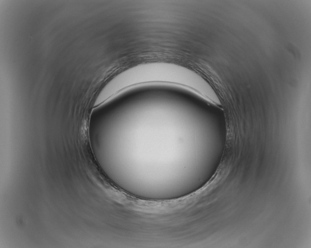 X0000112720045200909031426