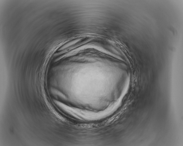 X0000112720049200909031425