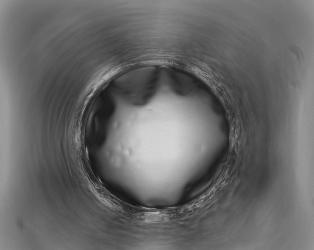 X0000112720050200909031425