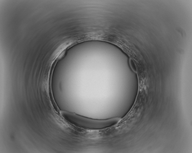 X0000112720052200909031425